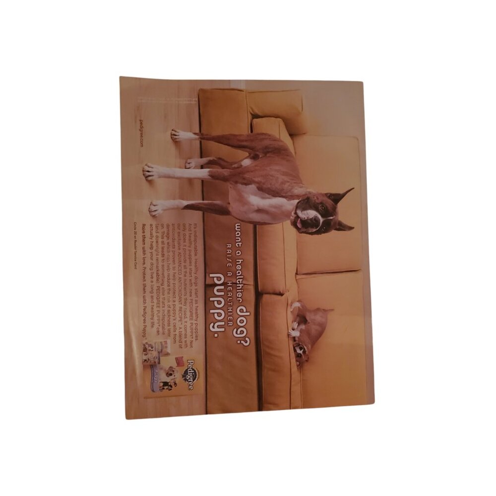 Dog World Magazine - Picture 3 of 3